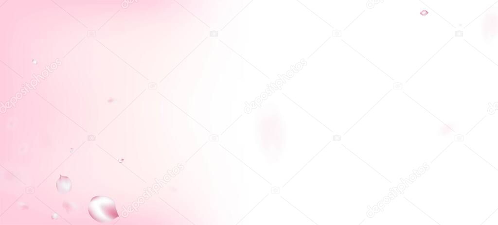 Cherry Sakura Petals Confetti. Beautiful Rich VIP Magic Pattern. Blooming Cosmetics Ad Elegant Flower Background. Flying Japanese Sakura Cherry Rose Petals Frame. Windy Leaves Confetti Design.