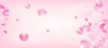 Gül Yaprakları Düşen Konfeti. Uçan Japon Kiraz Gül Yaprakları Çerçevesi. Birinci sınıf kadın suluboya deseni. Windy Leaves Confetti Posteri. Çiçekli Kozmetik Reklamı Güzel Çiçek Arkaplanı.