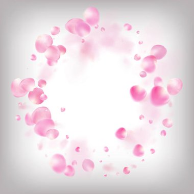 Uçan Gül Yaprakları Konfeti. Düşen Japon Gül Kirazlı Sakura Yaprakları Çerçevesi. Windy Leaves Confetti Sınırı. Çiçek açan kozmetik reklamları asil çiçek arkaplanı. Güzel Zengin VIP Pastel Deseni.