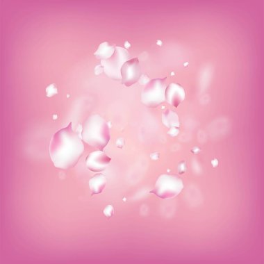 Kirazlı Sakura Blossom Konfeti. Çiçekli Kozmetik Ürünleri Zarif Çiçek Arkaplanı. Soylu Pastel Doku. Windy Leaves Confetti Sınırı. Düşen Japon Kirazı Gül Sakura Yaprakları Tasarımı.