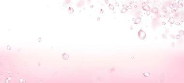 Kirazlı Sakura Petals Konfeti. Asil Zengin VIP Büyülü Doku. Uçan Japon Kirazlı Sakura Gül Yaprakları Posteri. Çiçekli Kozmetik Reklamları Zarif Çiçek Arkaplanı. Windy Confetti Sınırı 'ndan Çıkıyor.