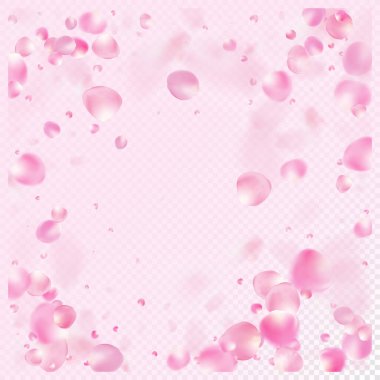 Uçan Gül Yaprakları Konfeti. Kadın Premium Kadın Düzeni. Düşen Japon Kirazlı Sakura Gül Yaprakları Posteri. Windy Leaves Confetti Banner. Çiçekli Kozmetik Reklamları Soylu Çiçek Arkaplanı.