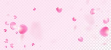 Gül Yaprakları Düşen Konfeti. Güzel Premium Tender Deseni. Çiçekli Kozmetik Reklamları Zarif Çiçek Arkaplanı. Uçan Japon Kirazlı Sakura Gül Yaprakları Pankartı. Windy Leaves Konfeti Çerçevesi.