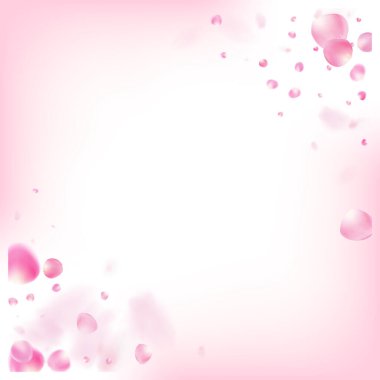 Uçan Gül Yaprakları Konfeti. Zarif Pastel Deseni. Uçan Japon Kirazlı Gül Sakura Yaprakları Posteri. Windy Leaves Confetti Sınırı. Çiçekli Kozmetik Reklamları Soylu Çiçek Arkaplanı.