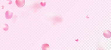 Gül Yaprakları Düşen Konfeti. Windy Leaves Konfeti Tasarımı. Çiçekli Kozmetik Reklamları Zarif Çiçek Arkaplanı. Güzel Büyülü Doku. Uçan Japon Gülü Kiraz Çiçeği Sakura Taç Afişi.