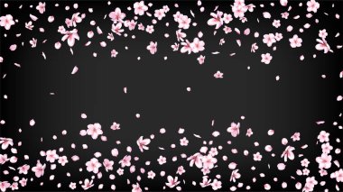 Güzel Sakura Çiçeği, izole edilmiş Vektör. Gerçekçi Düşen 3d Taç Yaprağı Düğün Tasarımı. Japon Bokeh Çiçekleri İllüstrasyonu. Sevgililer Günü, Güzel Sakura Çiçeği Kara 'da izole edilmiş