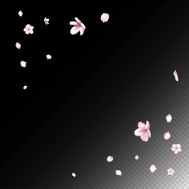 Kiraz çiçekli konfeti. Çiçek açan kozmetik reklamları güzel çiçek arkaplanı. Uçan Japon Kirazlı Gül Sakura Taç Afişi. Birinci sınıf kadın sihirli patern. Windy Leaves Konfeti Tasarımı.