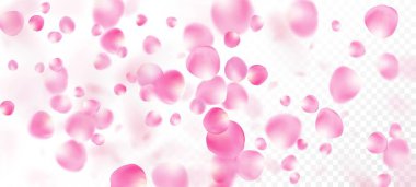 Gül Yaprakları Düşen Konfeti. Windy Leaves Konfeti Tasarımı. Zarif Büyülü Doku. Kozmetik ürünleri reklamı, kadın çiçek arka planı. Düşen Japon Sakura Gül Kiraz Yaprakları Sınırı.