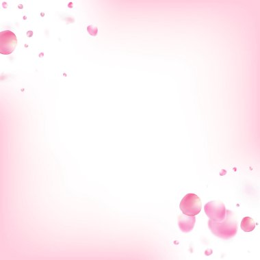 Uçan Gül Yaprakları Konfeti. Windy Leaves Confetti Frame. Güzel Pastel Deseni. Uçan Japon Gül Kirazlı Sakura Taç Afişi. Çiçekli Kozmetik Reklamları Zarif Çiçek Arkaplanı.