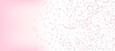 Kirazlı Sakura Petals Konfeti. Düşen Japon Sakura Gül Kiraz Taç Afişi. Zarif Zengin VIP Sihir Şablonu. Windy Leaves Confetti Frame. Çiçekli Kozmetik Reklamı Güzel Çiçek Arkaplanı.