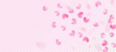 Gül Yaprakları Düşen Konfeti. Windy Leaves Confetti Frame. Uçan Japon Sakura Gül Kiraz Yaprağı Tasarımı. Zarif Büyülü Doku. Çiçek açan Kozmetik Reklamları Kadın Çiçek Arkaplanı.