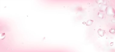 Kirazlı Sakura Petals Konfeti. Windy Leaves Confetti Banner. Güzel Rich VIP Tender Deseni. Blooming Kozmetik Reklamları Kadın Çiçek Arkaplanı. Düşen Japon Kiraz Gülü Sakura Yaprakları Sınırı.