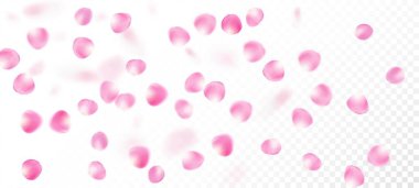 Gül Yaprakları Düşen Konfeti. Düşen Japon Kiraz Gül Yaprakları Tasarımı. Çiçekli Kozmetik Ürünleri Zarif Çiçek Arkaplanı. Windy Leaves Confetti Posteri. Asil Büyülü Doku.