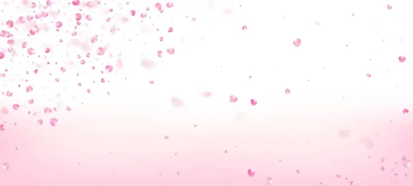 Gül Yaprakları Düşen Konfeti. Uçan Japon Sakura Gül Kiraz Taç Afişi. Çiçekli Kozmetik Reklamları Zarif Çiçek Arkaplanı. Windy Leaves Konfeti Tasarımı. Kadın Zengin VIP Pastel Deseni.