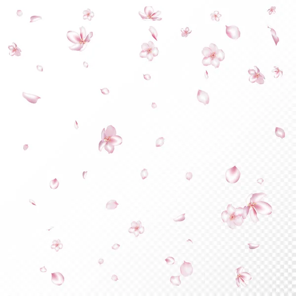 Sakura Cherry Blossom Confetti Vagyok Gyönyörű Prémium Pasztell Minta Falling — Stock Vector