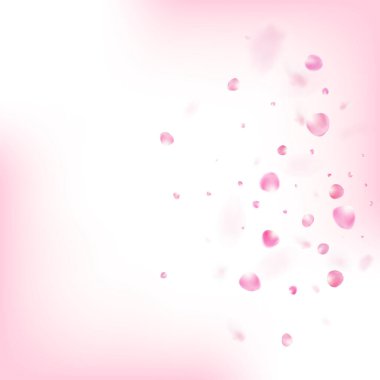 Uçan Gül Yaprakları Konfeti. Düşen Japon Gül Sakura Kiraz Yaprakları Sınırı. Windy Leaves Konfeti Tasarımı. Çiçek açan kozmetik reklamları asil çiçek arkaplanı. Güzel Premium Kadınsı Doku.