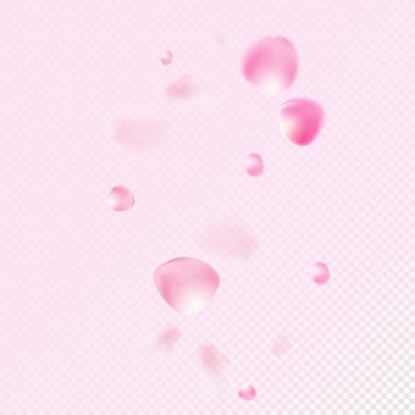 Uçan Gül Yaprakları Konfeti. Kadın Premium Kadın Düzeni. Çiçekli Kozmetik Reklamları Soylu Çiçek Geçmişi. Düşen Japon Kiraz Çiçeği Yaprakları Tasarımı. Windy Confetti Sınırı 'ndan Çıkıyor.