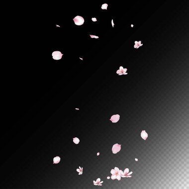 Kiraz çiçekli konfeti. Zarif Zengin VIP Büyülü Doku. Windy Leaves Confetti Frame. Kozmetik ürünleri reklamı, kadın çiçek arka planı. Uçan Japon Gülü Kiraz Çiçeği Sakura Yaprakları Tasarımı.