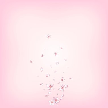 Kiraz çiçekli konfeti. Uçan Japon Sakura Gül Kiraz Yaprağı Tasarımı. Windy Leaves Confetti Posteri. Kadın Zengin VIP Kadın Dokusuna sahip. Çiçekli Kozmetik Reklamları Soylu Çiçek Arkaplanı.