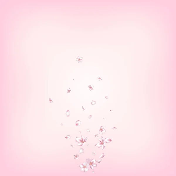 Sakura Cherry Blossom Confetti Volare Giapponese Sakura Rose Cherry Petals — Vettoriale Stock