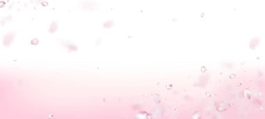 Kirazlı Sakura Petals Konfeti. Windy Leaves Confetti Sınırı. Noble Rich VIP İhale Şablonu. Blooming Kozmetik Reklamları Kadın Çiçek Arkaplanı. Uçan Japon Sakura Kiraz Gülü Taç Afişi.