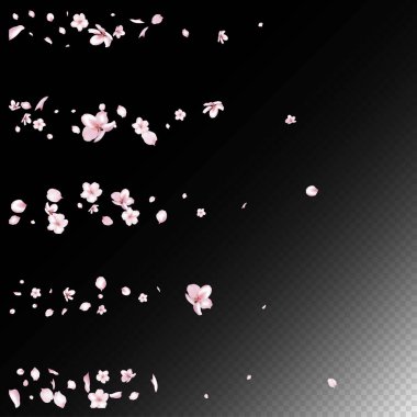 Kiraz çiçekli konfeti. Düşen Japon Kiraz Gülü Sakura Yaprakları Tasarımı. Soylu, zengin, suluboya kumaş. Çiçek açan kozmetik reklamları güzel çiçek arkaplanı. Windy Leaves Konfeti Çerçevesi.