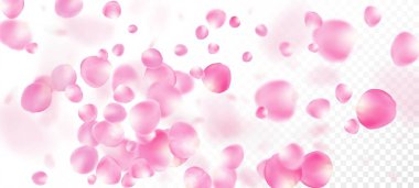 Gül Yaprakları Düşen Konfeti. Windy Leaves Confetti Banner. Uçan Japon Sakura Kiraz Gül Taç Sınırı. Çiçek açan kozmetik reklamları güzel çiçek arkaplanı. Soylu Zengin VIP Kadın dokusu.