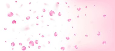 Gül Yaprakları Düşen Konfeti. Windy Leaves Confetti Banner. Düşen Japon Gül Sakura Kiraz Yaprakları Posteri. Çiçek açan kozmetik reklamları güzel çiçek arkaplanı. Zarif Zengin VIP Sihir Şablonu.