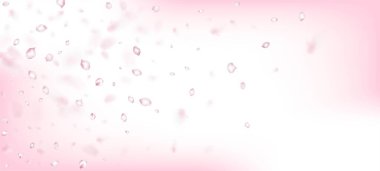 Kirazlı Sakura Petals Konfeti. Zarif Premium Yumuşak Doku. Kozmetik ürünleri reklamı, kadın çiçek arka planı. Uçan Japon Sakura Kiraz Gül Taç Sınırı. Windy Leaves Konfeti Tasarımı.