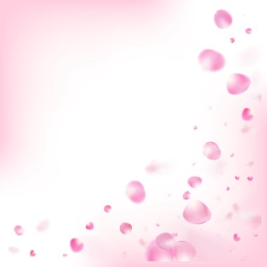 Uçan Gül Yaprakları Konfeti. Çiçek açan kozmetik reklamları güzel çiçek arkaplanı. Windy Leaves Confetti Posteri. Bayan Zengin VIP Pastel Doku. Düşen Japon Kirazı Gül Sakura Yaprakları Çerçevesi.