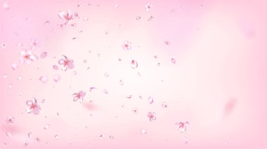 Güzel Sakura Çiçeği, izole edilmiş Vektör. Pastel düşen 3d taç yapraklı düğün dokusu. Japon Güzellik Spa Çiçekleri İllüstrasyonu. Valentine, Anneler Günü Şefkatli Güzel Sakura Çiçeği Gül 'de soyutlandı