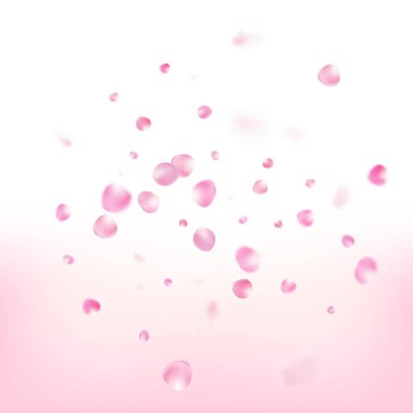 Uçan Gül Yaprakları Konfeti. Çiçek açan kozmetik reklamları güzel çiçek arkaplanı. Düşen Japon Kiraz Gül Yaprakları Çerçevesi. Birinci sınıf kadın sihirli patern. Windy Leaves Konfeti Tasarımı.