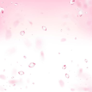 Kirazlı Sakura Blossom Konfeti. Zarif Zengin VIP Suluboya dokusu. Uçan Japon Gülü Sakura Kiraz Yaprağı Çerçevesi. Blooming Kozmetik Reklamları Kadın Çiçek Arkaplanı. Windy Leaves Confetti Posteri.