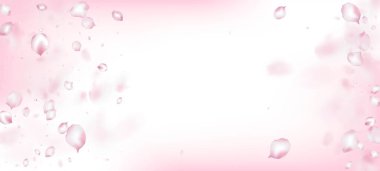 Kirazlı Sakura Petals Konfeti. Zarif Pastel Doku. Windy Leaves Confetti Sınırı. Çiçek açan kozmetik reklamları güzel çiçek arkaplanı. Uçan Japon Kirazı Gül Sakura Yaprakları Tasarımı.