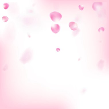 Uçan Gül Yaprakları Konfeti. Windy Leaves Confetti Sınırı. Zarif Zengin VIP Büyülü Doku. Çiçek açan kozmetik reklamları asil çiçek arkaplanı. Uçan Japon Kirazı Gül Sakura Taç Afişi.