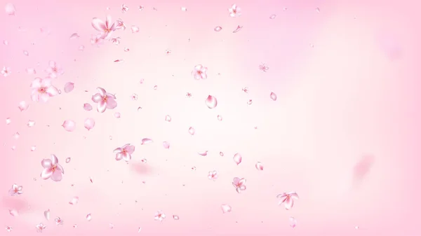 Nice Sakura Blossom Isolated Vector Pastel Falling Petals Wedding Texture — Stock Vector