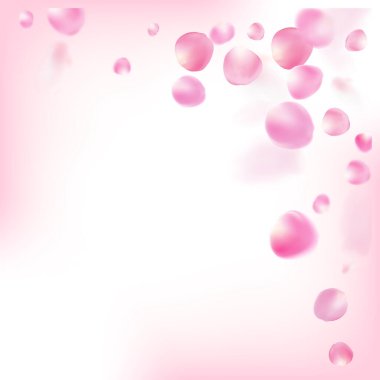 Uçan Gül Yaprakları Konfeti. Düşen Japon Gül Kirazlı Sakura Taç Afişi. Zarif Zengin VIP Watercolor Deseni. Windy Leaves Confetti Posteri. Çiçek açan Kozmetik Reklamları Kadın Arkaplanı.