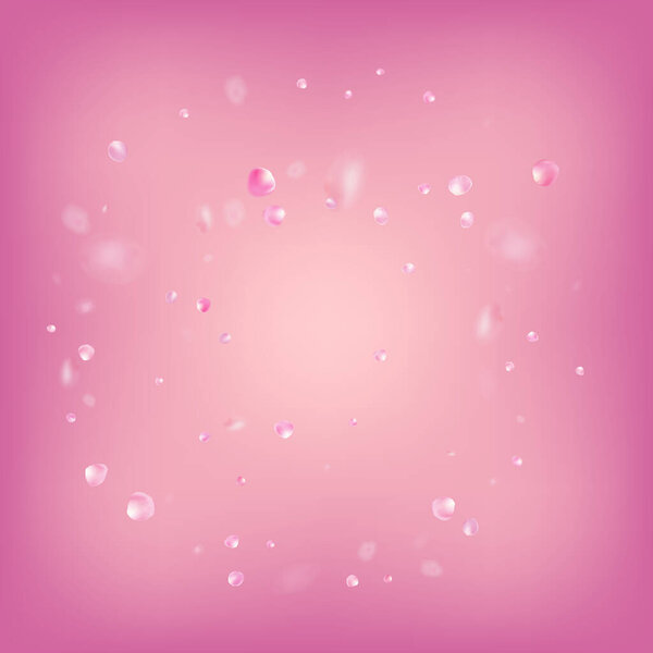 Rose Petals Flying Confetti. Beautiful Rich VIP Pastel Texture. Blooming Cosmetics Ad Elegant Floral Background. Falling Japanese Sakura Rose Cherry Petals Banner. Windy Leaves Confetti Border.