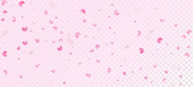 Gül Yaprakları Düşen Konfeti. Windy Leaves Confetti Banner. Çiçek açan kozmetik reklamları güzel çiçek arkaplanı. Bayan Zengin VİP Watercolor Deseni. Düşen Japon Kiraz Gülü Sakura Yaprakları Sınırı.