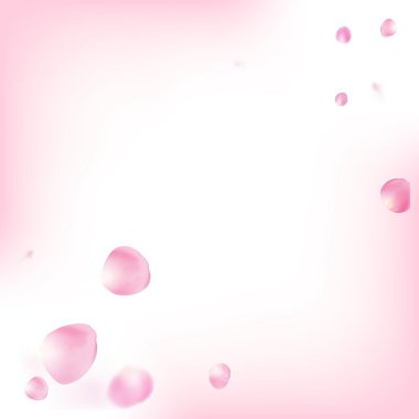 Uçan Gül Yaprakları Konfeti. Windy Leaves Confetti Posteri. Düşen Japon Gül Sakura Kiraz Yaprakları Tasarımı. Birinci sınıf kadın suluboya deseni. Çiçekli Kozmetik Reklamı Güzel Çiçek Arkaplanı.