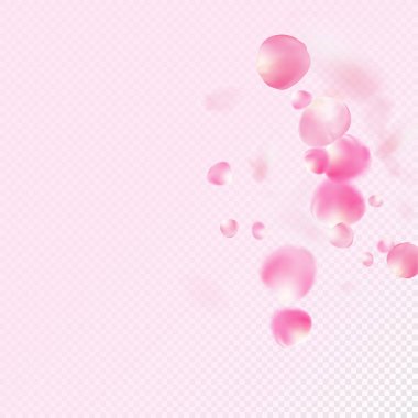 Uçan Gül Yaprakları Konfeti. Windy Leaves Confetti Posteri. Çiçekli Kozmetik Ürünleri Zarif Çiçek Arkaplanı. Soylu suluboya deseni. Uçan Japon Gülü Kiraz Çiçeği Sakura Taç Afişi.