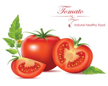 Güzel gerçekçi domates. vektör çizim