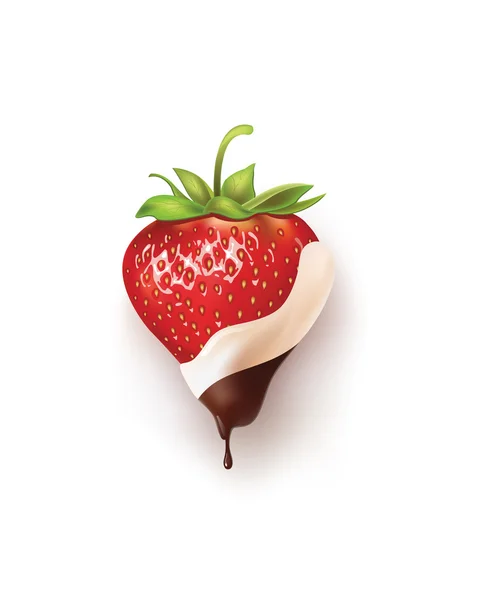 Hermosas fresas en chocolate blanco y negro. ilustración vectorial de un realista — Archivo Imágenes Vectoriales