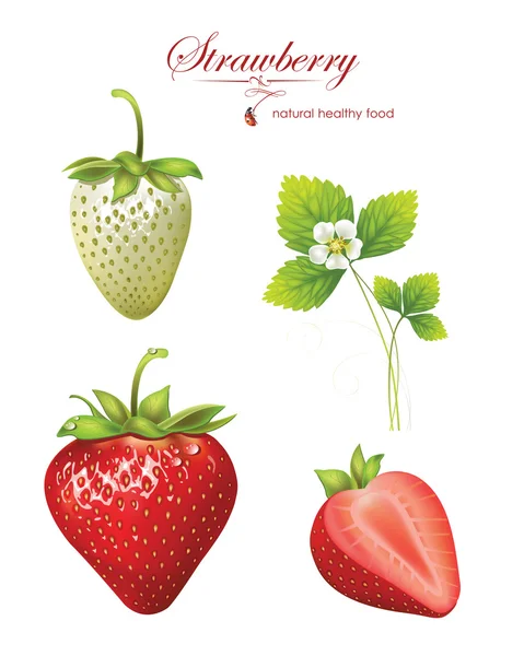 Bellissime fragole. illustrazione vettoriale di un realistico — Vettoriale Stock