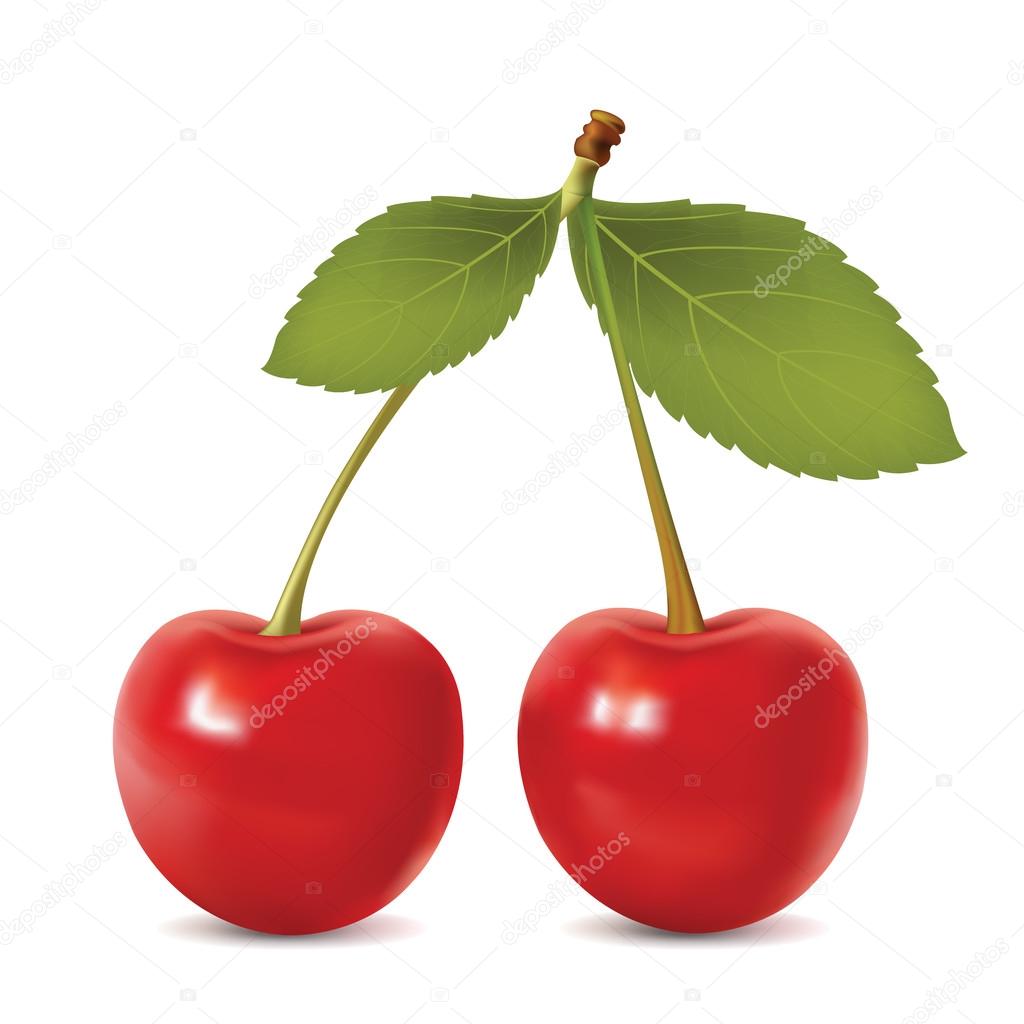 Cherries, cherry. Vector realistic illustration.