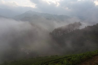 Mu Cang Chai, Yenbai, Kuzey Vietnam teraslı pirinç tarlası manzarası
