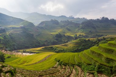 Mu Cang Chai, Yenbai, Kuzey Vietnam teraslı pirinç tarlası manzarası