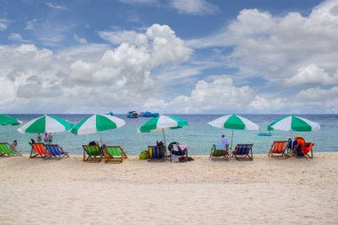 Güneşli bir günde Koh Nang Yuan Adası, Surat Thani, Tayland 'da tropikal kumlu sahilde tahta plaj sandalyeli plaj şemsiyeleri.