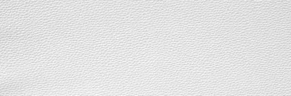 Cuir Blanc Fond Texture Bannière Large — Photo