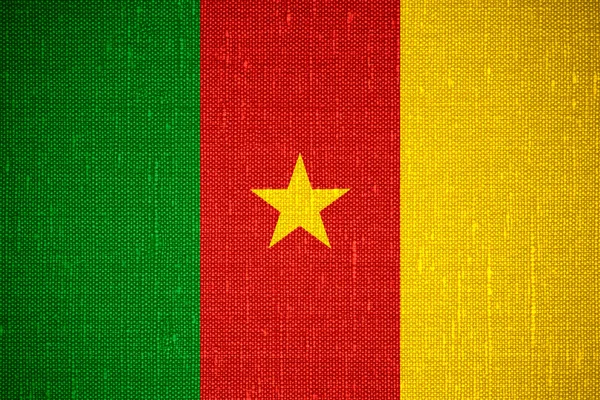 Kamerun zászlaja — Stock Fotó